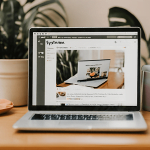 blog professionnel, blog, systeme0io